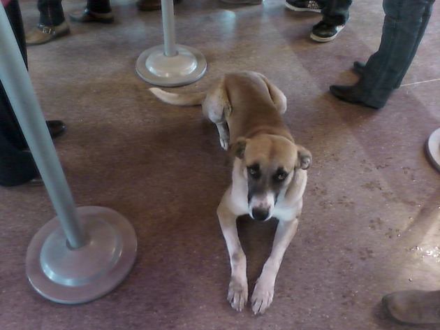 "Lucho, apura el cheque pa "Lucho, apura el cheque pa