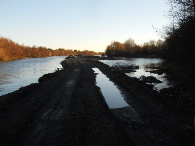 Atentado a la naturaleza | Ben-Hur Sandoval Corona
