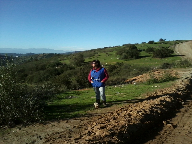 Termino del censo | Cecilia Portal