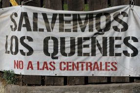 Imagen:Salvemos Los Queñes