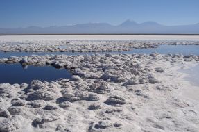 Imagen:Ministerio del Medio Ambiente
