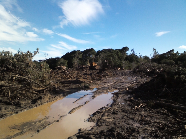 Parque Pedro del Rio, La verdadera cara de la Limpieza | JGS