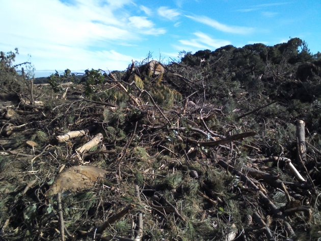 Parque Pedro del Rio, La verdadera cara de la Limpieza | JGS