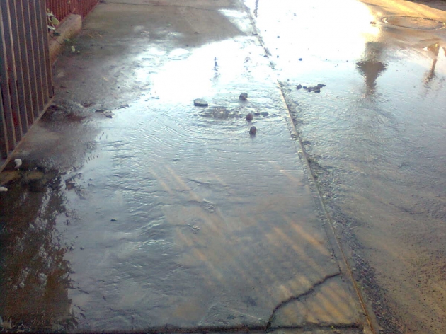 Ducto Agua Potable filtrando hace 2 días-El Olivar | Patricia Jelvez