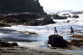 Imagen:Punta de Lobos