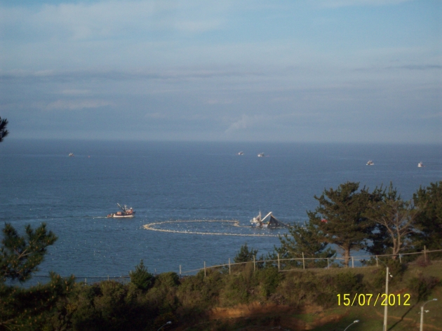 Pesca Industrial a orillas de Caleta Punta de Lavapie | Maria Elena Gajardo Pesca Industrial a orillas de Caleta Punta de Lavapie | Maria Elena Gajardo
