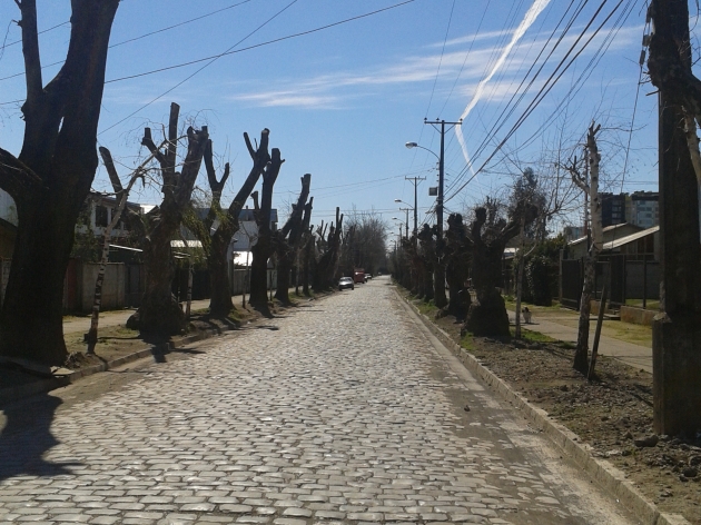 ¿poda? | Aylin León