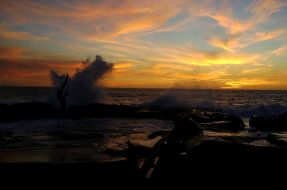 Imagen:Playa Maule | Gerson Guzmán (BBCL)
