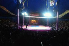 Imagen:Circo Los Tachuelas | www.circo.cl