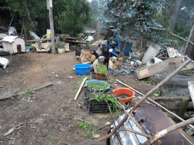 Alejandro Echeverría Ponce (C)