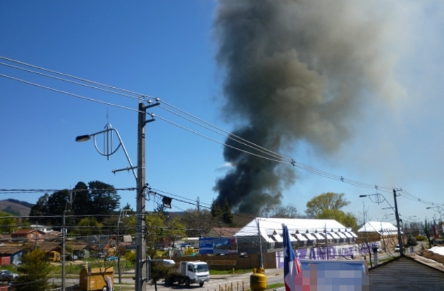 Alicia Araya Alicia Araya