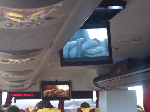 DSC03860.-b.jpg