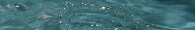 Agua | TreeNetra en Flickr (cc)