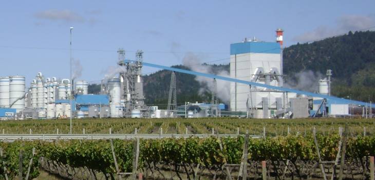 celulosa-arauco_mill_hires-e1387759413222-730x350.jpg
