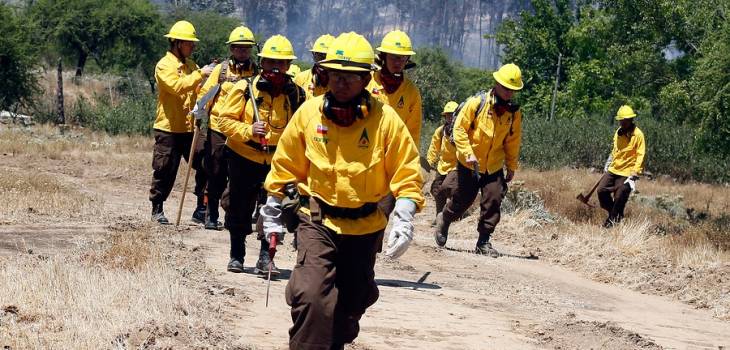 Imagen de Archivo | Francisco Castillo/agenciaUNO