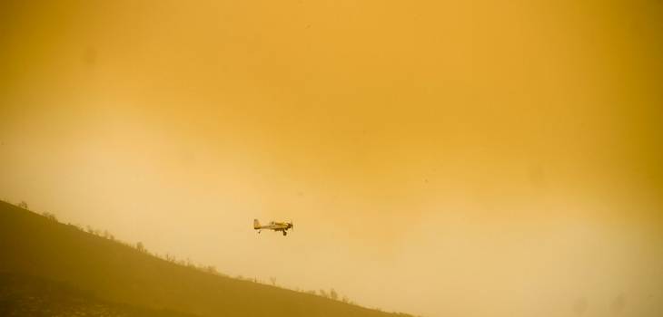 Hans Scott | Agencia UNO