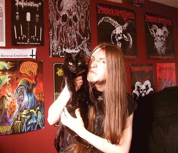 Metal Cats | Alexandra Crockett