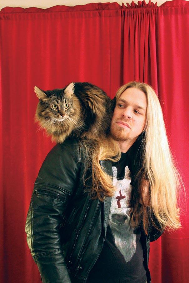 Metal Cats | Alexandra Crockett