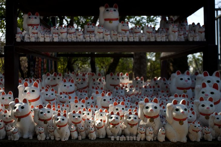 Figuras del gato de la suerte en el templo Gotokuji | mrhayata (CC)