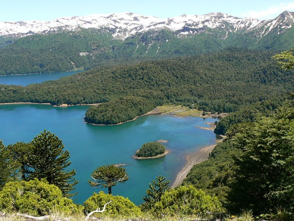 Parque Nacional Conguillío, Victoria, Chile | Wikipedia