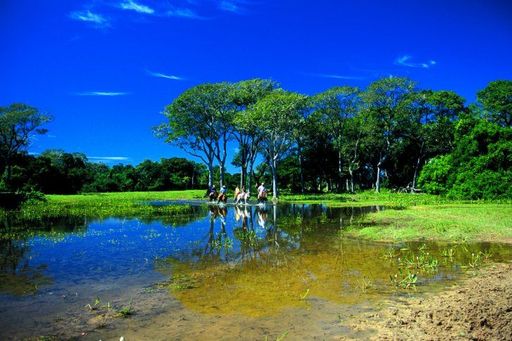 Pantanal | visitabrasil