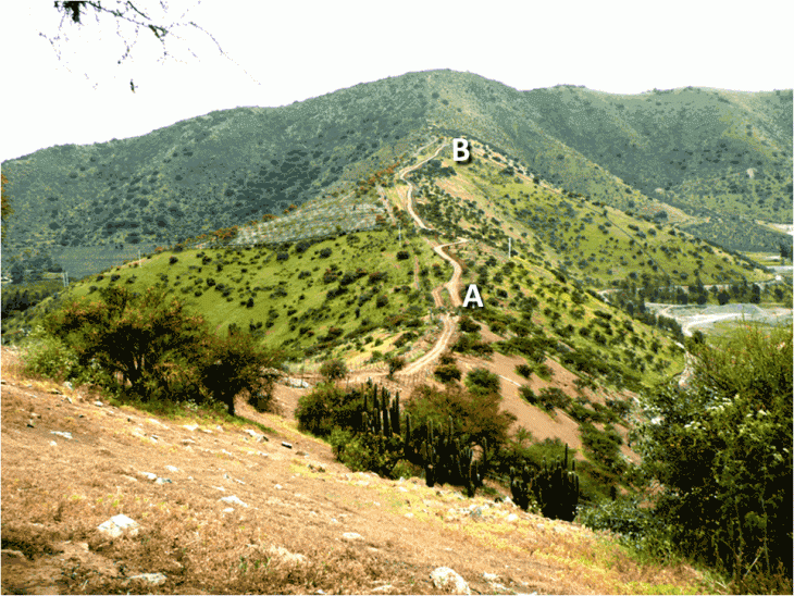 Camino realizado con retroexcavadoras en el Cerro Pucará | Patricio Bustamante