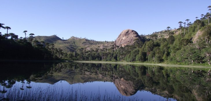 Laguna Santa Rosa | Municipalidad de Quilaco