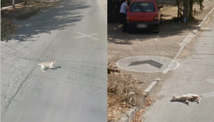 Google Street View | Quinta Normal