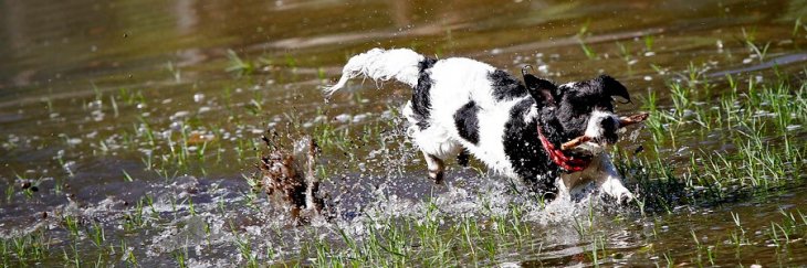 ARCHIVO | David Cortes Serey | Agencia UNO