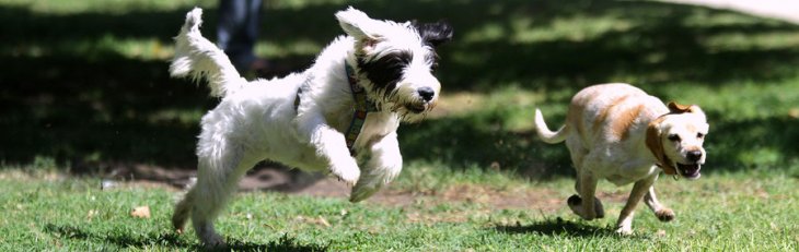 ARCHIVO | Cristobal Esobar | Agencia UNO