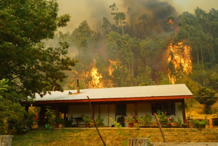 Incendio en Provincia de Arauco | Víctor Carrasco (RBB)