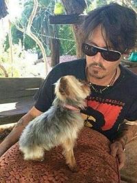 Uno de los perros y Depp