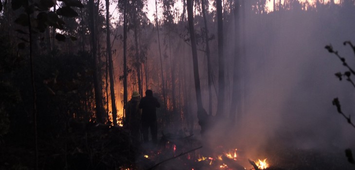 Archivo | Agencia UNO