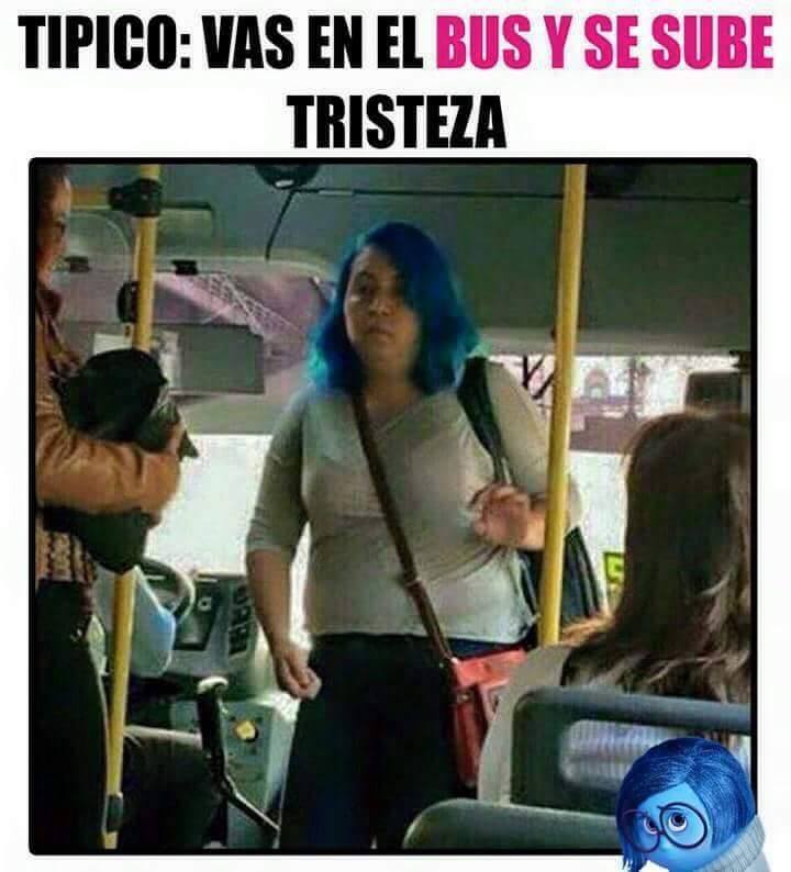 11793421_740261092768997_1898661005_n.jpg