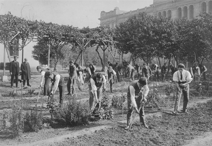 Estudiantes normalistas en clase de agricultura (1923)