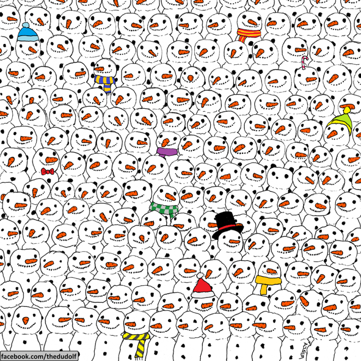 La imagen con el panda, que debes encontrar | The Dudolf / Facebook