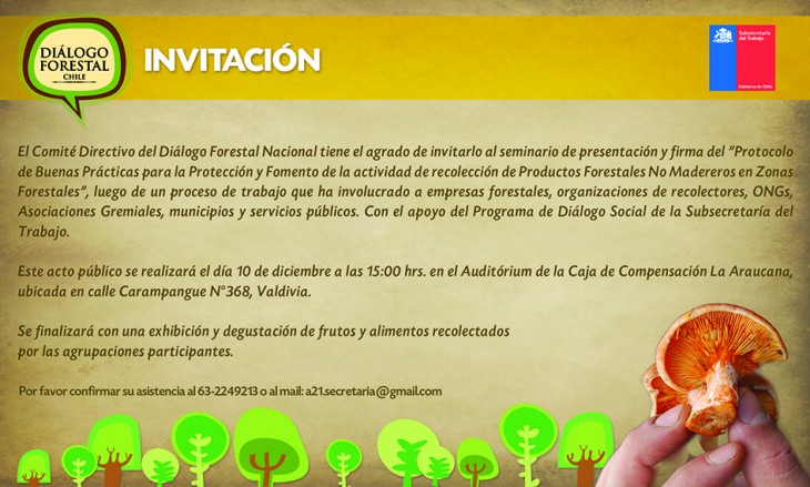 www.dialogoforestal.cl www.dialogoforestal.cl