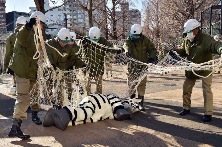 La indomable cebra | AFP / Kazuhiro Nogi 
