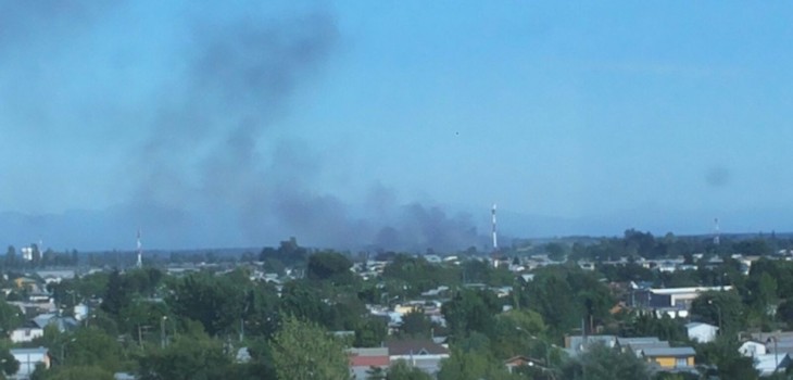 incendio-de-pastizales-en-pinto-730x350.jpg