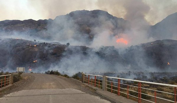 incendio-forestal-en-chile-chico-600x350.jpg