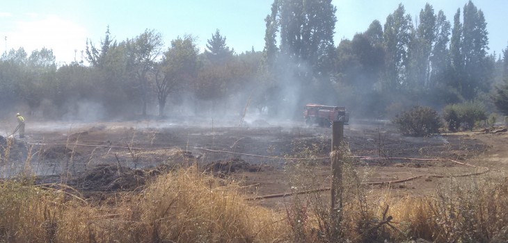 incendio-forestal-en-los-angeles-730x350.jpg