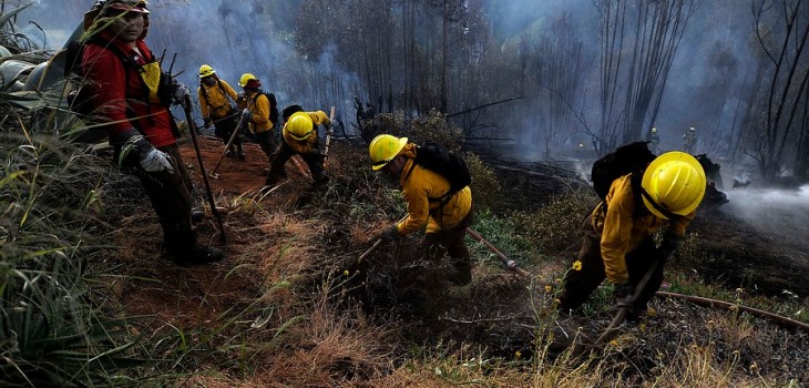 incendio-forestal-litueche-730x350.jpg