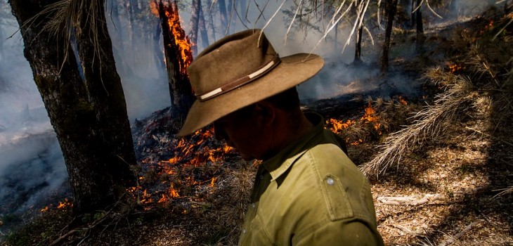 Archivo | David Cortés | Agencia Uno