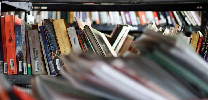 Carabineros desmantela imprenta clandestina de libros “piratas” en ... - BioBioChile (Comunicado de prensa) (blog)