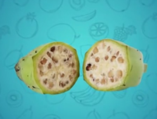 Banana en la antigüedad | Captura | Youtube