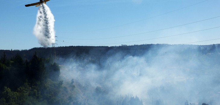 controlan-incendio-forestal-en-reserva-peuelas-en-valparaso1-730x350.jpg