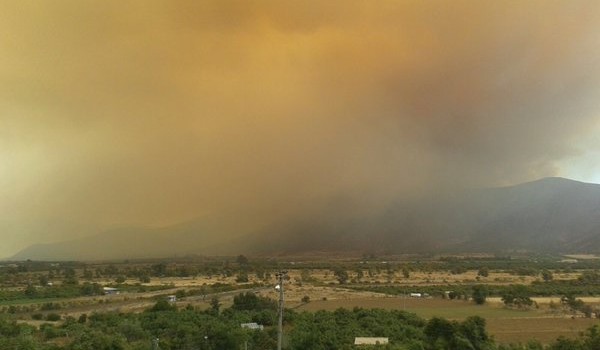 incendio-forestal-consume-cerca-de-500-hectareas-en-la-ligua-600x350.jpg