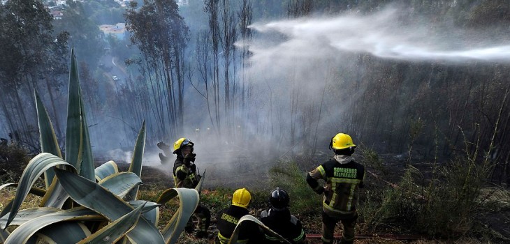 incendio-forestal-lumaco.jpg