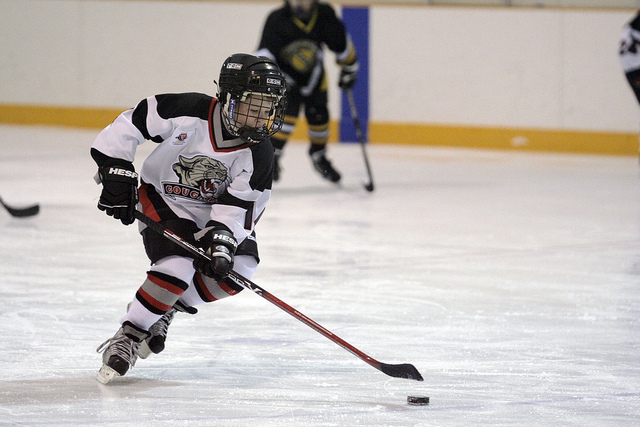 paulaquiltgirl (CC) Flickr