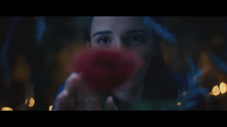 Facebook | The beauty and the beast